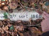 image of grave number 366113